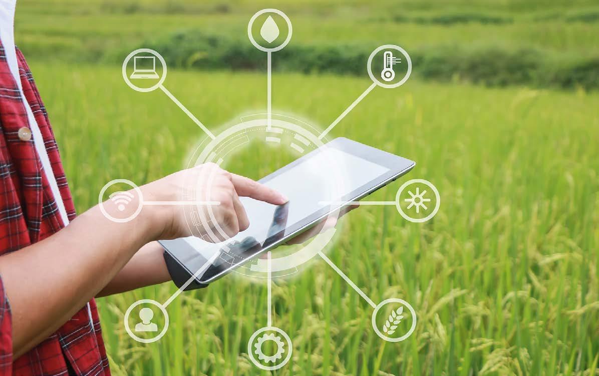 modern farming